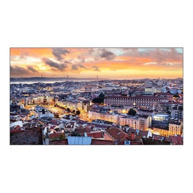 SAMSUNG Digitalni zaslon VH55C-E Videowall, 55"